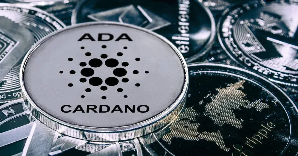 tại sao ada lại đặc biệt