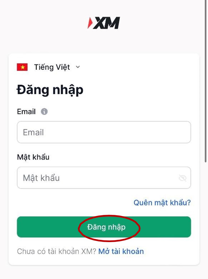 Backcom Xm Kiến Thức Trader