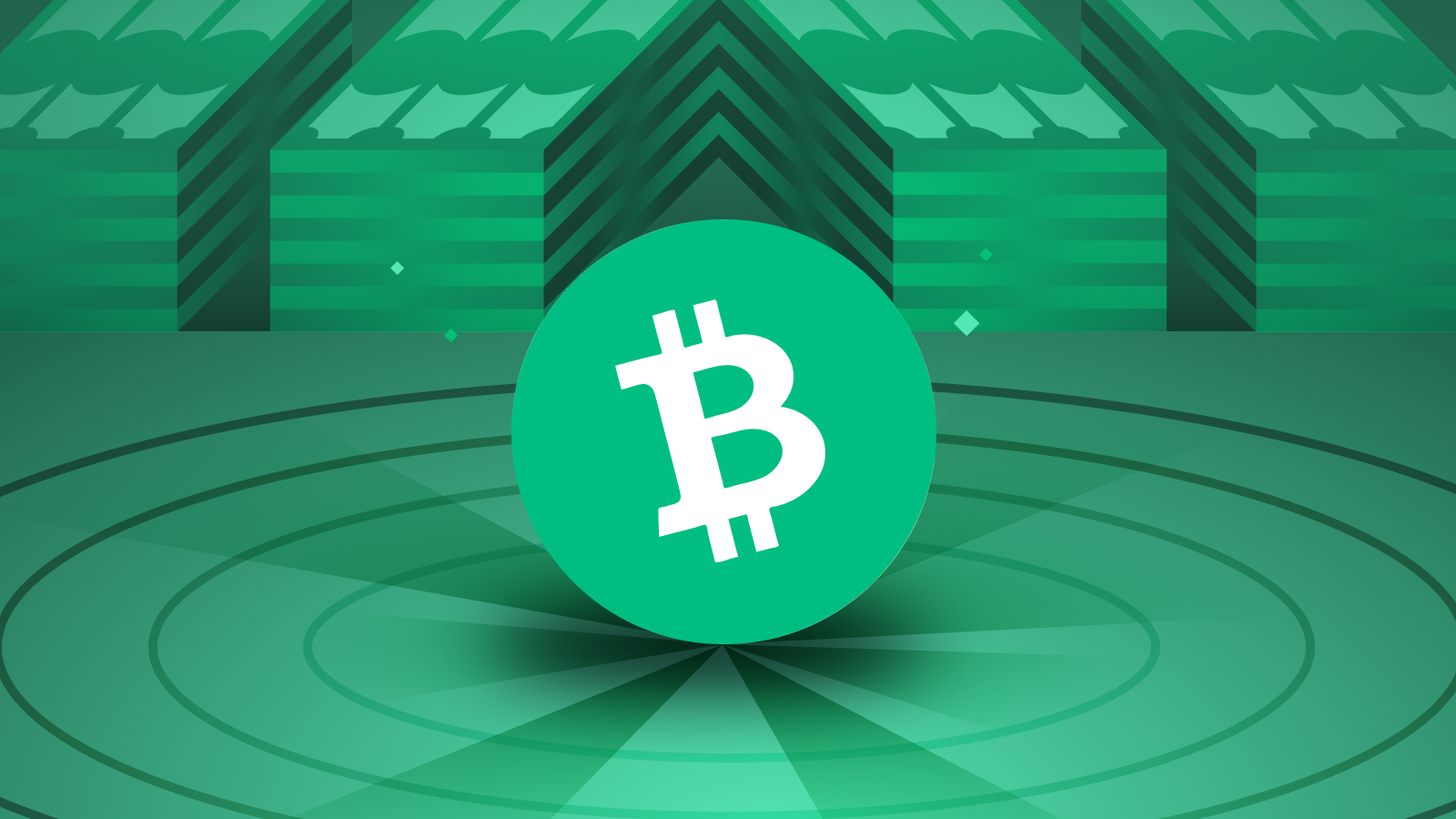 bitcoin cash là gì