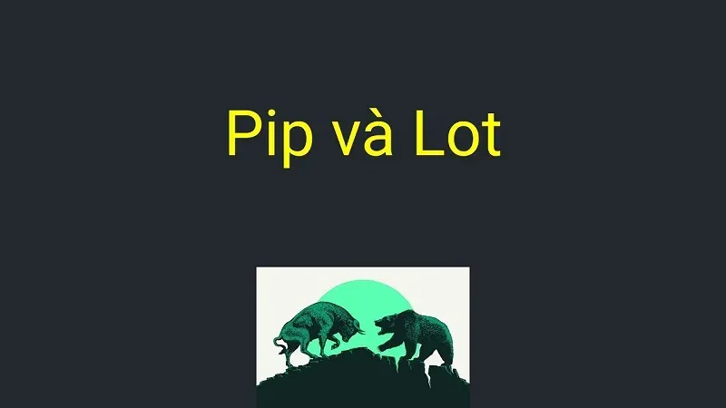 Lot trong Forex là gì? Cách tính Lot trong Forex đơn giản nhất Lot trong Forex là gì? Cách tính Lot trong Forex đơn giản nhất