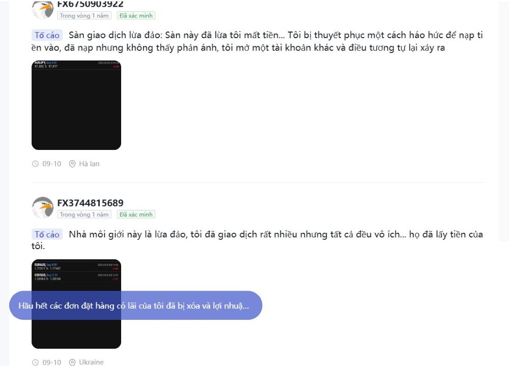 Đánh giá sàn FIBO Group 2025: Broker lâu đời nhưng có an toàn? Tố Cáo Sàn Fibo Group