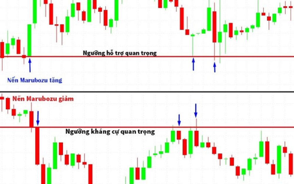 Giao Dịch Với Mô Hình Nến Marubozu