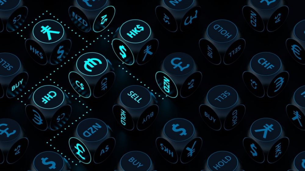 Người Mới Nên Chọn Tài Khoản Nào