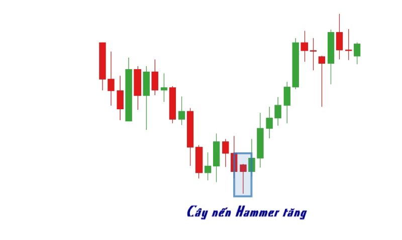 Phân Loại Mô Hình Nến Hammer