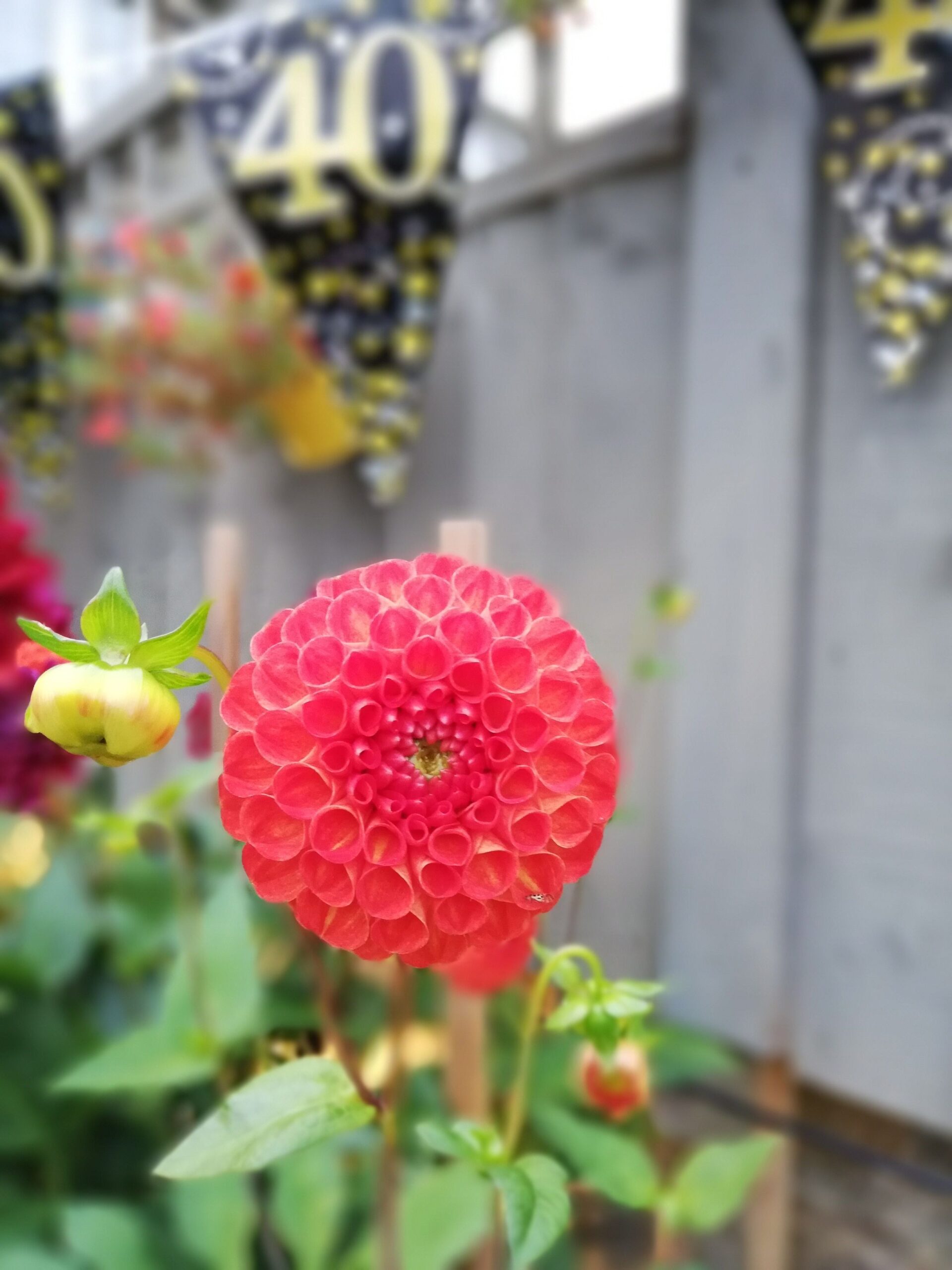 Nến Hammer là gì (minh họa 3)